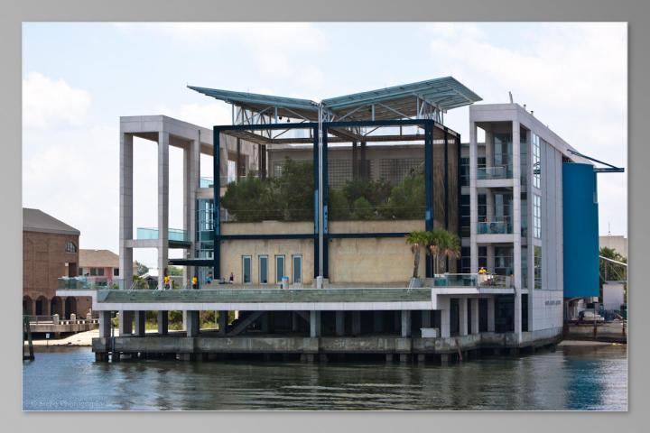 Modern waterfront building with glass walls and rooftop garden.