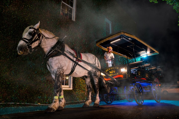 Horse-drawn carriage at night with driver under streetlights.