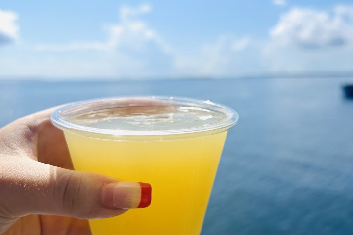 Hand holding a cup of orange drink against a blue sky and sea background.