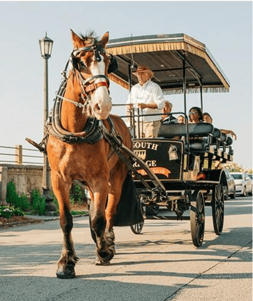 Horse-drawn carriage with passengers and driver on a sunny day