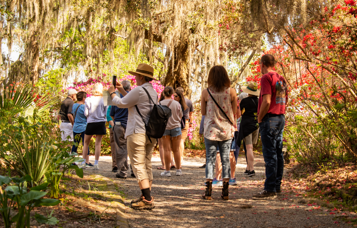 People walking on a shaded forest path with colorful flowers.