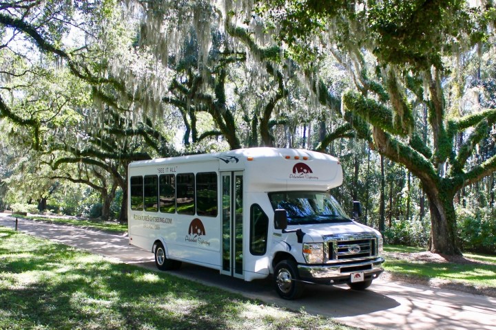White tour bus on a tree-lined path with hanging moss.