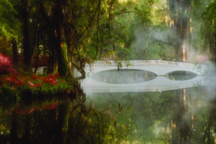 White bridge over a misty forest pond with surrounding trees and flowering bushes.